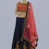 Women Palkhi | Navy Blue And Pink Lehengha Choli (L0182)