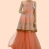 Women Palkhi | Pink Color Dress (D1056)