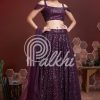 Women Palkhi | Purple Color Lehengha Choli (L0315)