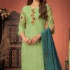 Women Palkhi | Mint Green Color Dress (D1338)