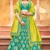 Women Palkhi | Parrot Green Lehengha Choli (L0294)