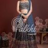 Women Palkhi | Blue Color Wedding Event Lehengha Choli (L0313)